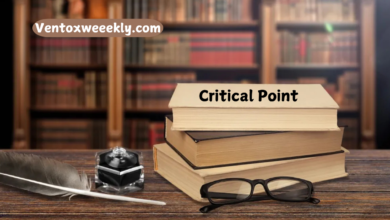 critical point volume 1 ridibook