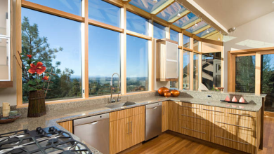 Kitchen Skylights